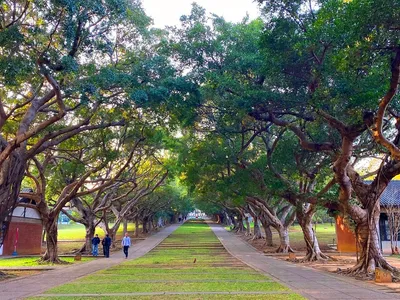 Tunghai University