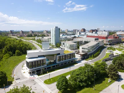 York University